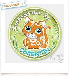 badge anniversaire chat