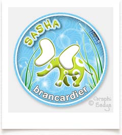 badge brancardier �l�phant