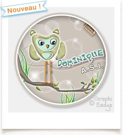 badge hibou asi