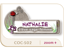 badge nature coccinelle